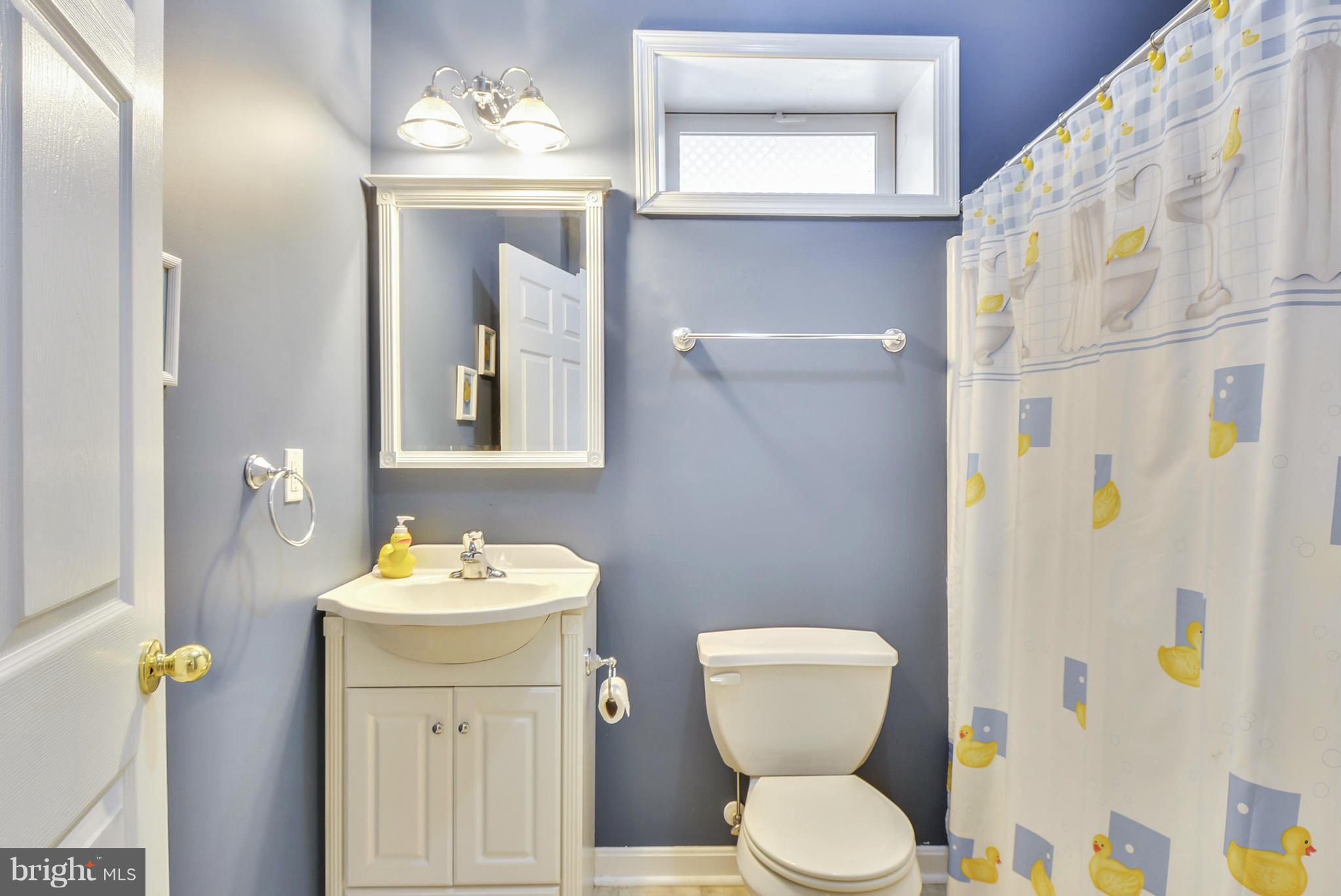 854 Clamshell Court Edgewater, MD 21037 - Photo 21 of 30 Bath in Basement