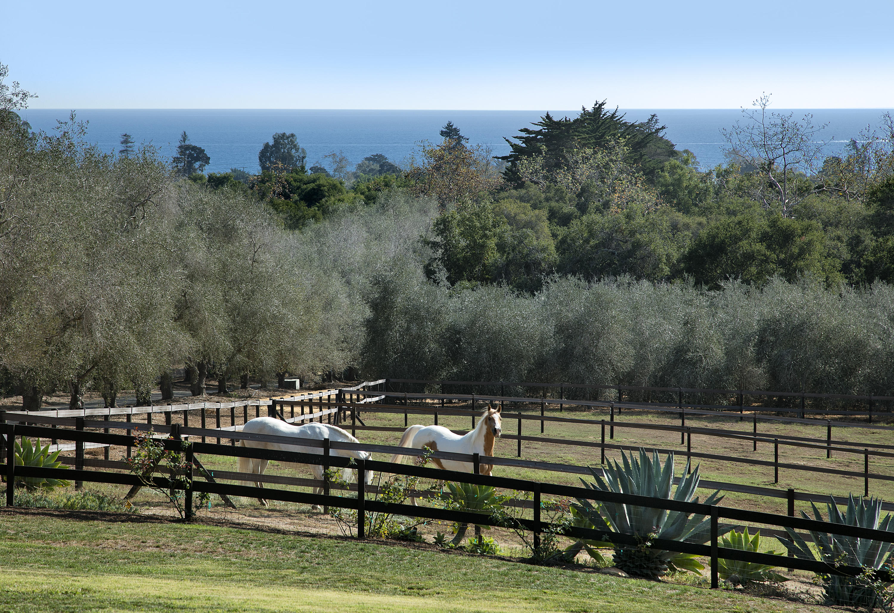 308 Ennisbrook Drive Montecito, CA 93108 - Photo 10 of 31 a view of a yard with a bench