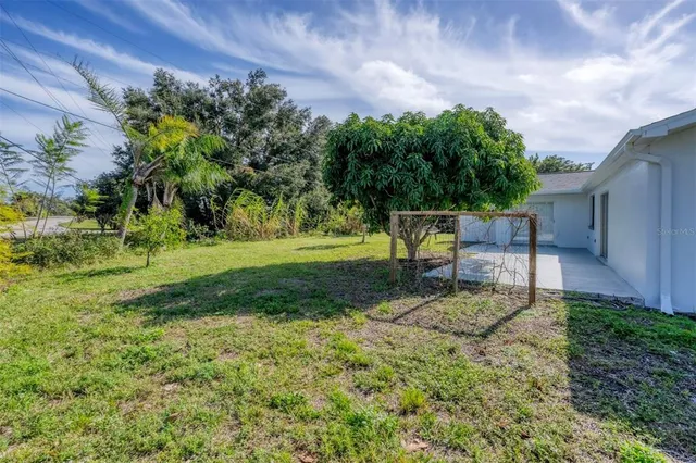 a view of a park with large trees