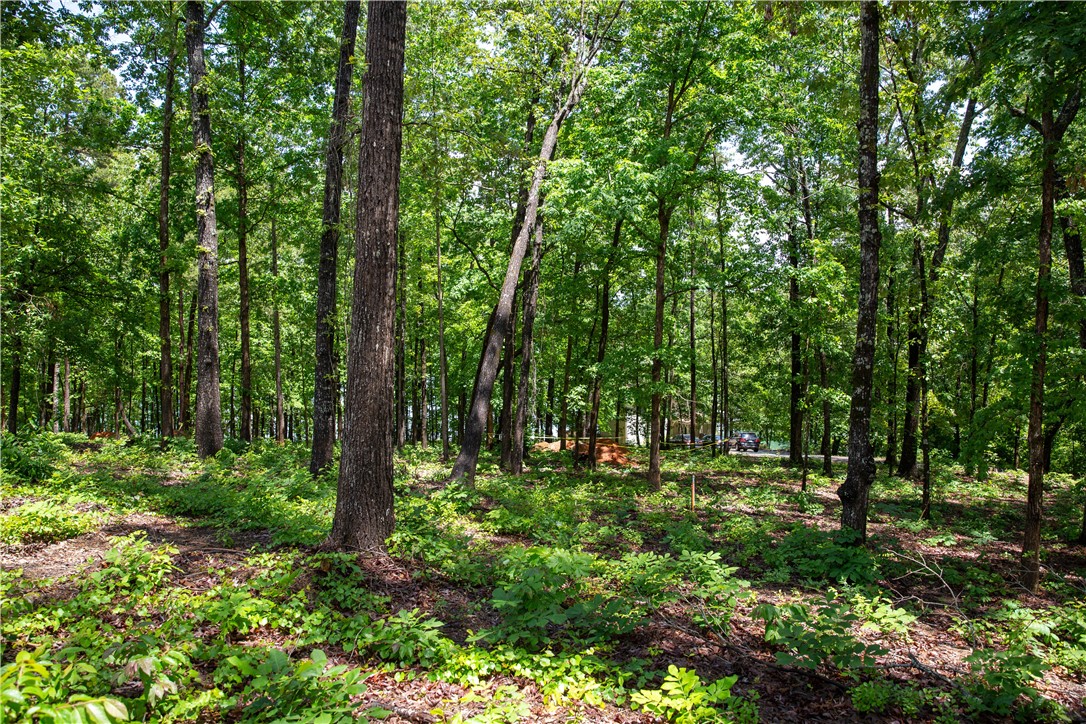 Lot 1-spring Knox Road Seneca, SC 29672 - Photo 2 of 6