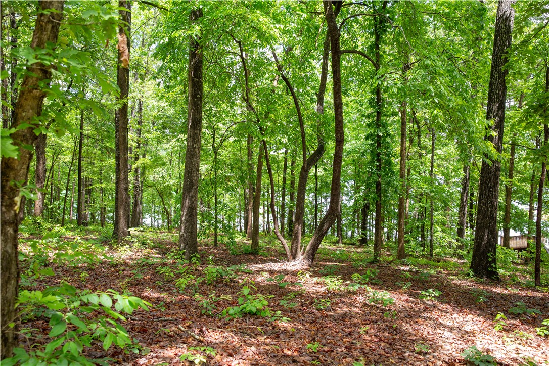 Lot 1-spring Knox Road Seneca, SC 29672 - Photo 3 of 6