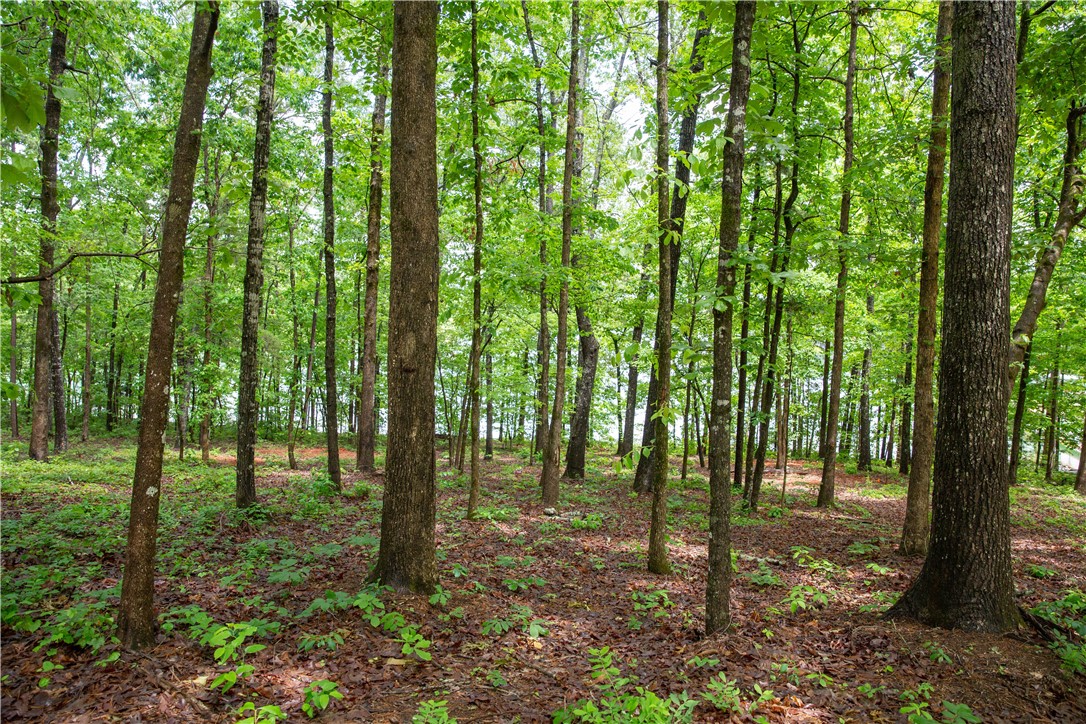 Lot 1-spring Knox Road Seneca, SC 29672 - Photo 4 of 6