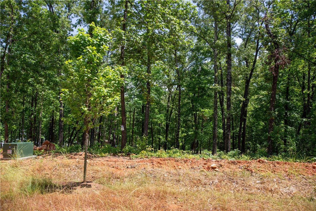 Lot 1-spring Knox Road Seneca, SC 29672 - Photo 5 of 6