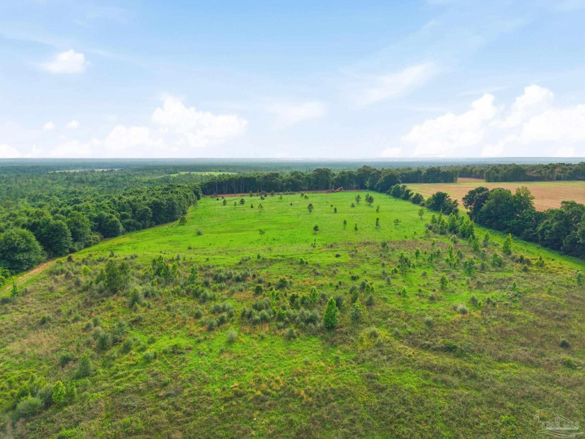 100 Mineral Springs Road Jay, FL 32565 - Photo 5 of 19 a view of a green field with lots of green space