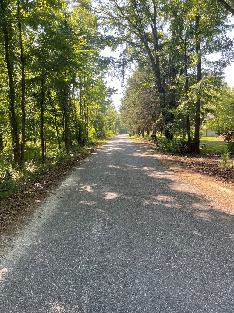 167 Honeysuckle Road Eufaula, AL 36027 - Photo 50 of 52