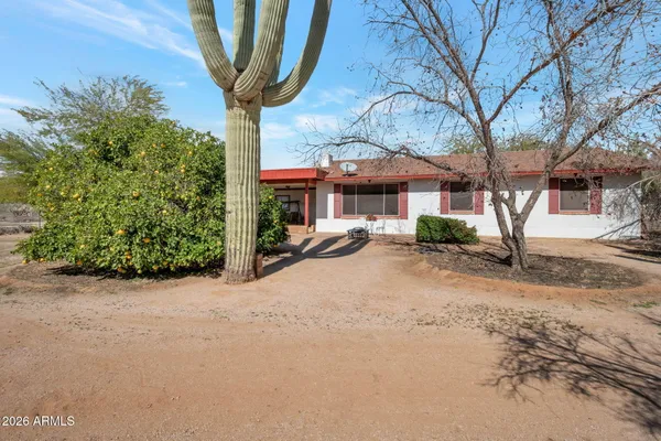 a house with a tree in front of it