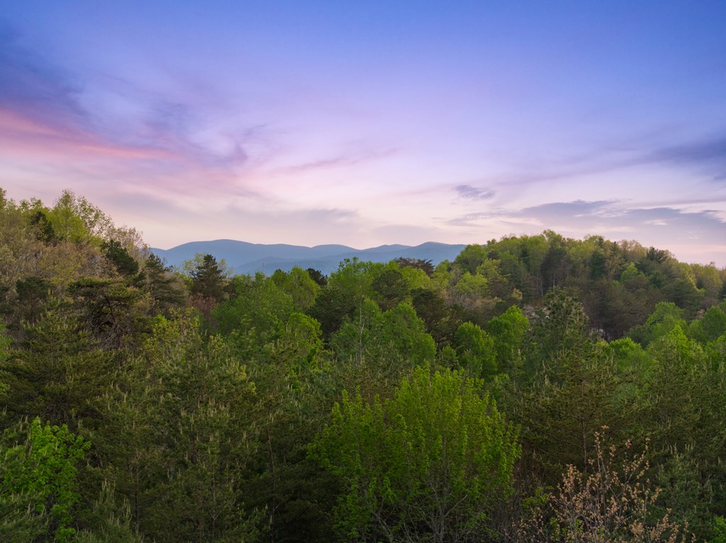 327 Dancing Trees Trail Morganton, GA 30560 - Photo 3 of 68