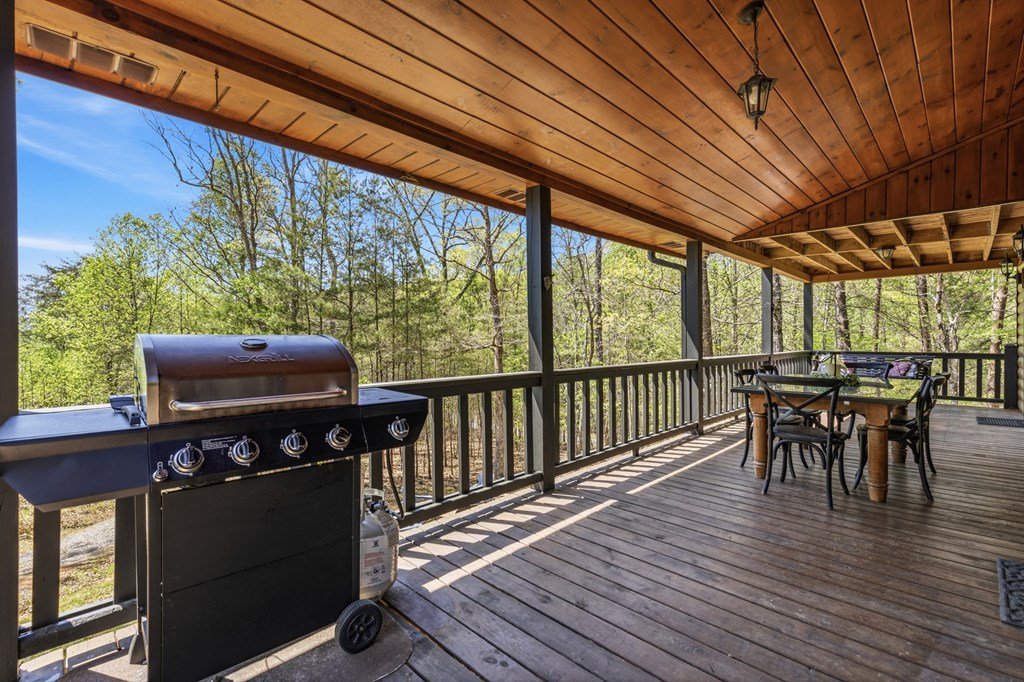 327 Dancing Trees Trail Morganton, GA 30560 - Photo 35 of 68