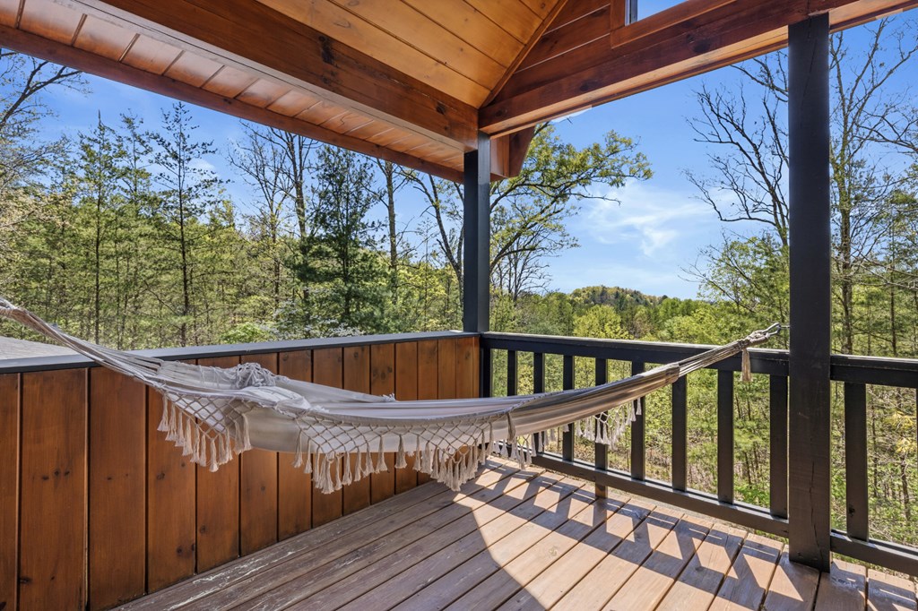 327 Dancing Trees Trail Morganton, GA 30560 - Photo 49 of 68