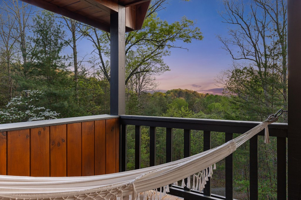 327 Dancing Trees Trail Morganton, GA 30560 - Photo 64 of 68