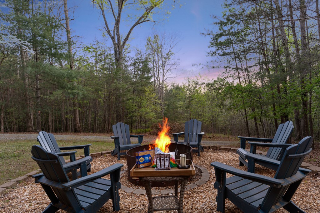 327 Dancing Trees Trail Morganton, GA 30560 - Photo 67 of 68