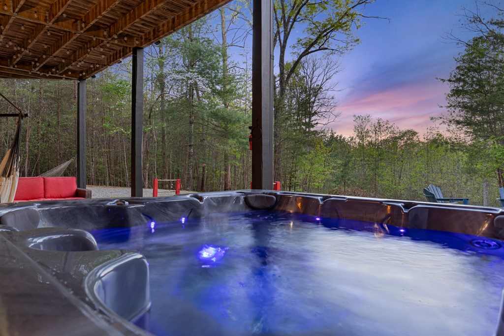 327 Dancing Trees Trail Morganton, GA 30560 - Photo 10 of 68