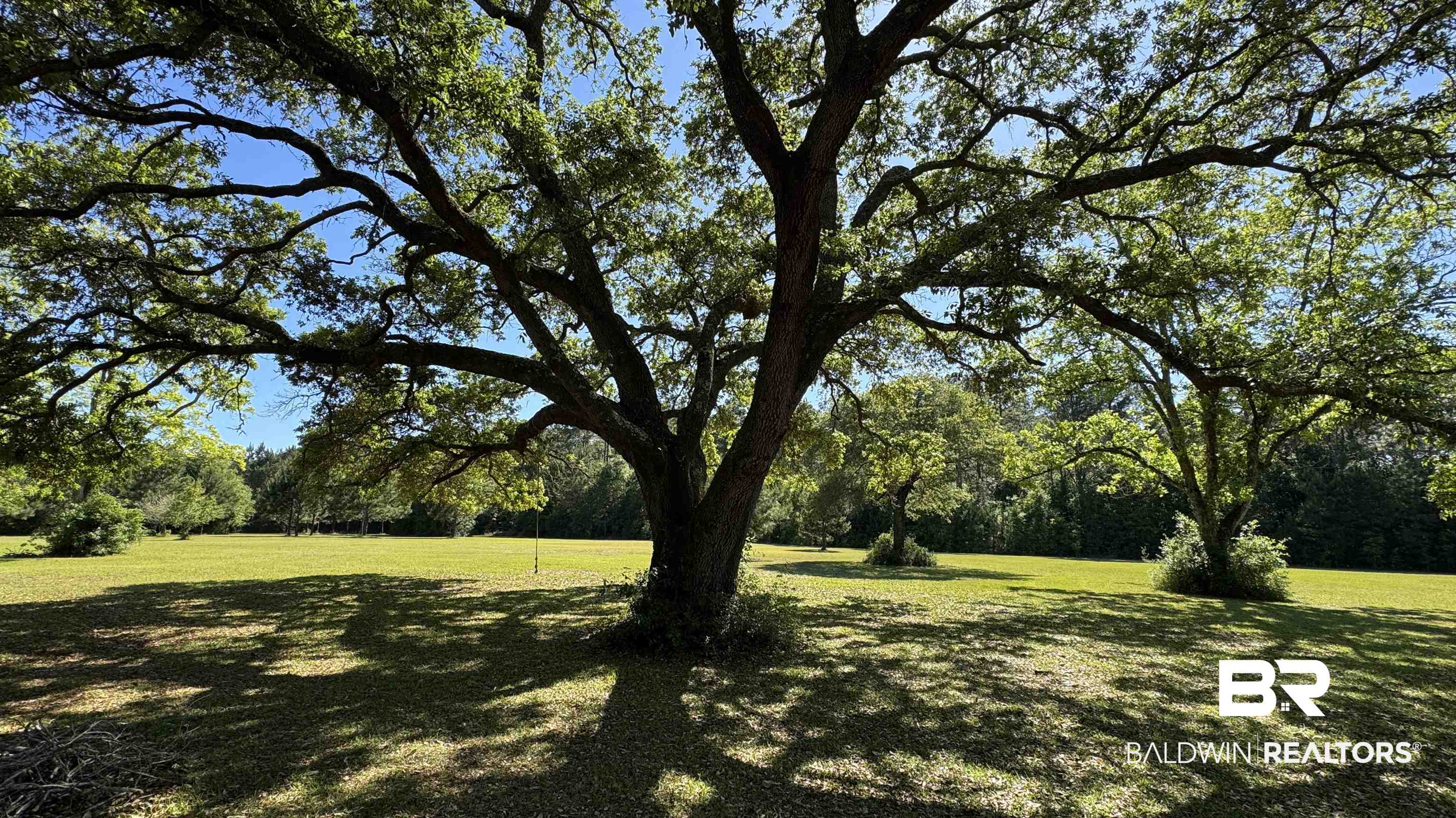 33370 Highway 98 Lillian, AL 36549 - Photo 4 of 58 Expansive green lawn with mature trees providing dappled shade