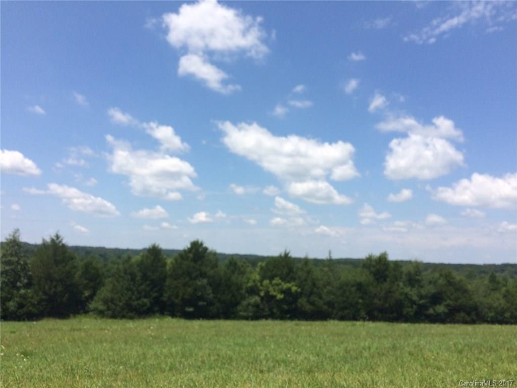 2530 Long Run Farm Road, Unit 1 Mount Pleasant, NC 28124 - Photo 2 of 3 Gallery Image 2