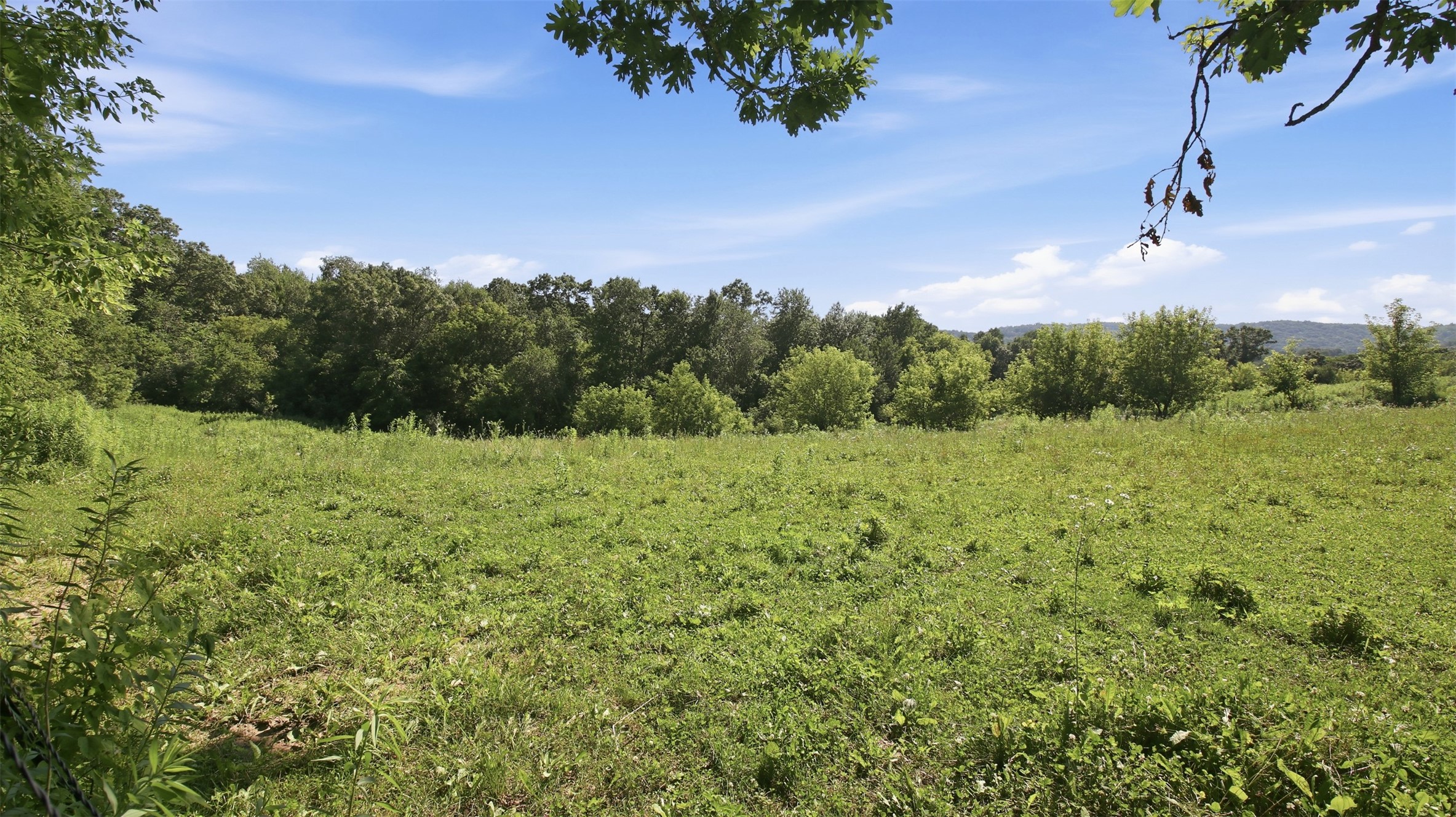 N44681 Hawkenson Valley Road Eleva, WI 54738 - Photo 41 of 55