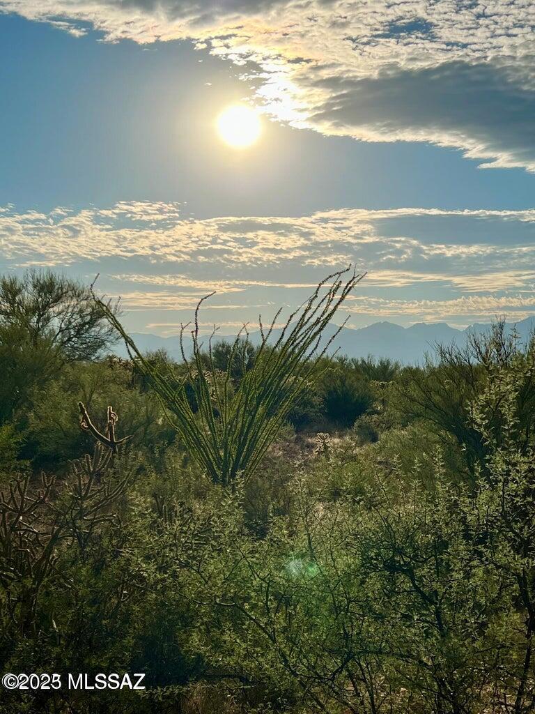 15966 West Phillips Road, Unit 270 Tucson, AZ 85736 - Photo 16 of 17 Gallery Image 16