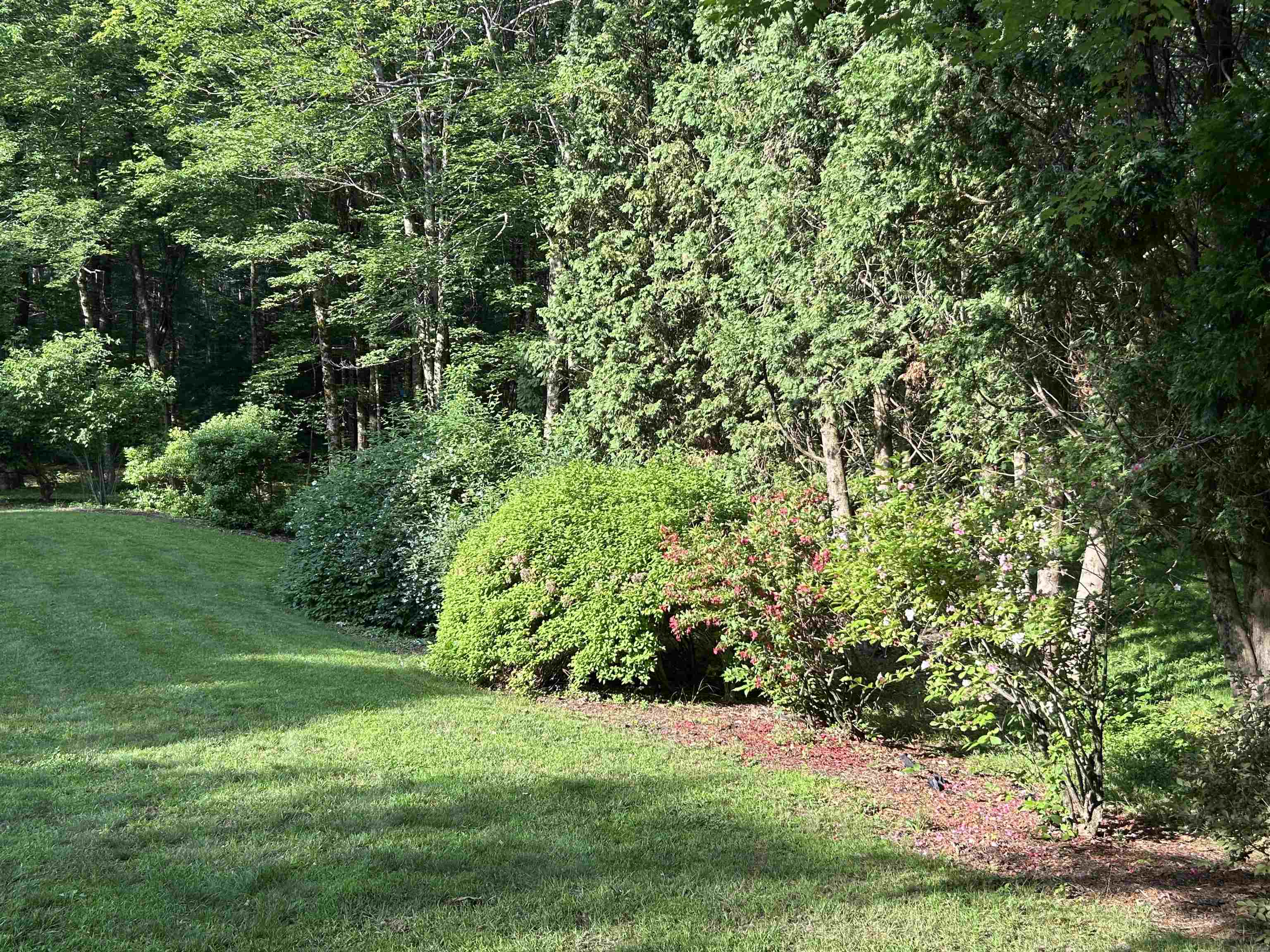 218 Old Turnpike Road Nottingham, NH 03290 - Photo 54 of 64