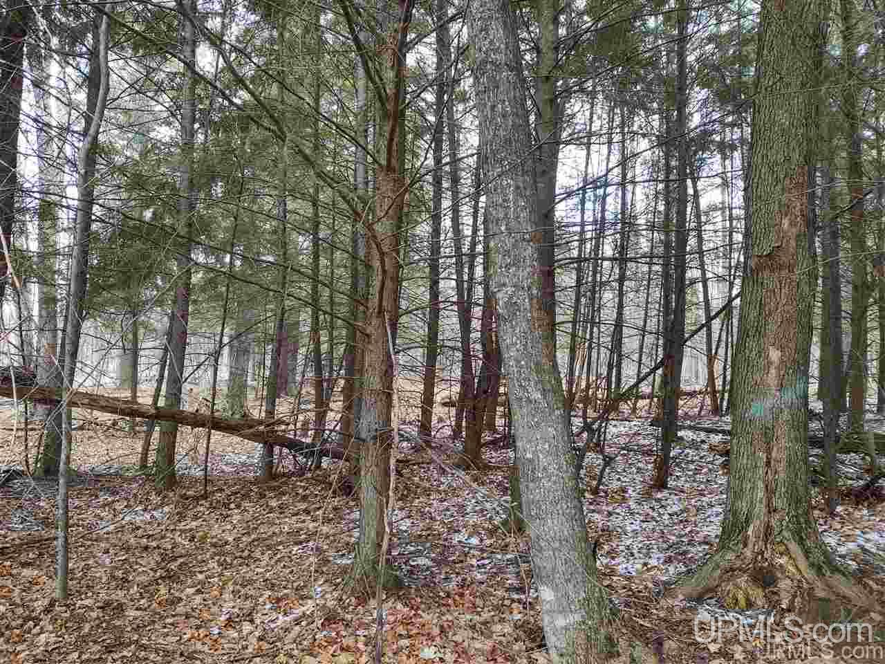 12234 Krolik Road Baraga, MI 49908 - Photo 34 of 36 Gallery Image 34