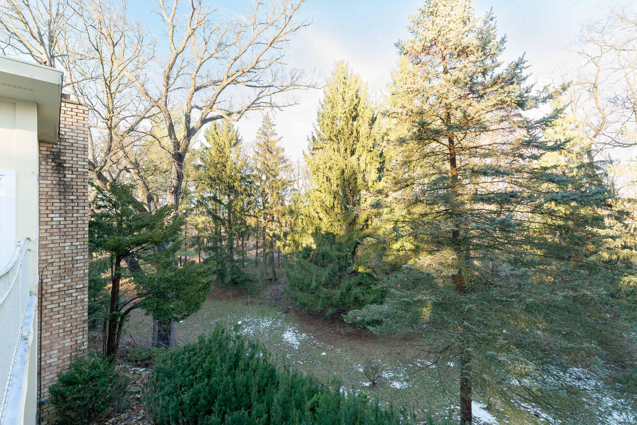 N11W31386 Fairfield Way Delafield, WI 53018 - Photo 46 of 71 The evergreens keep your property shaded in the summer but still allow ample light inside the home
