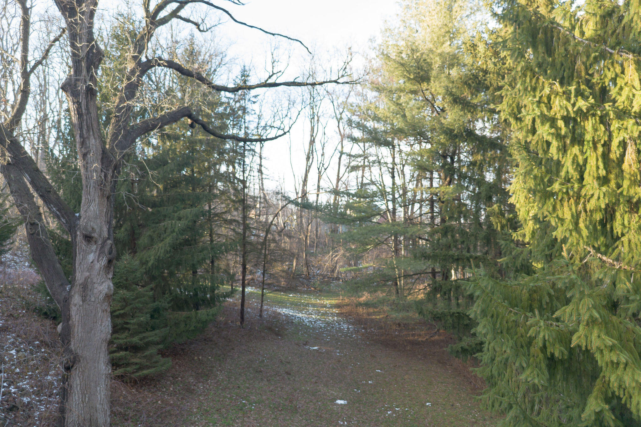 N11W31386 Fairfield Way Delafield, WI 53018 - Photo 59 of 71 Your land goes almost to the chain stores in the back