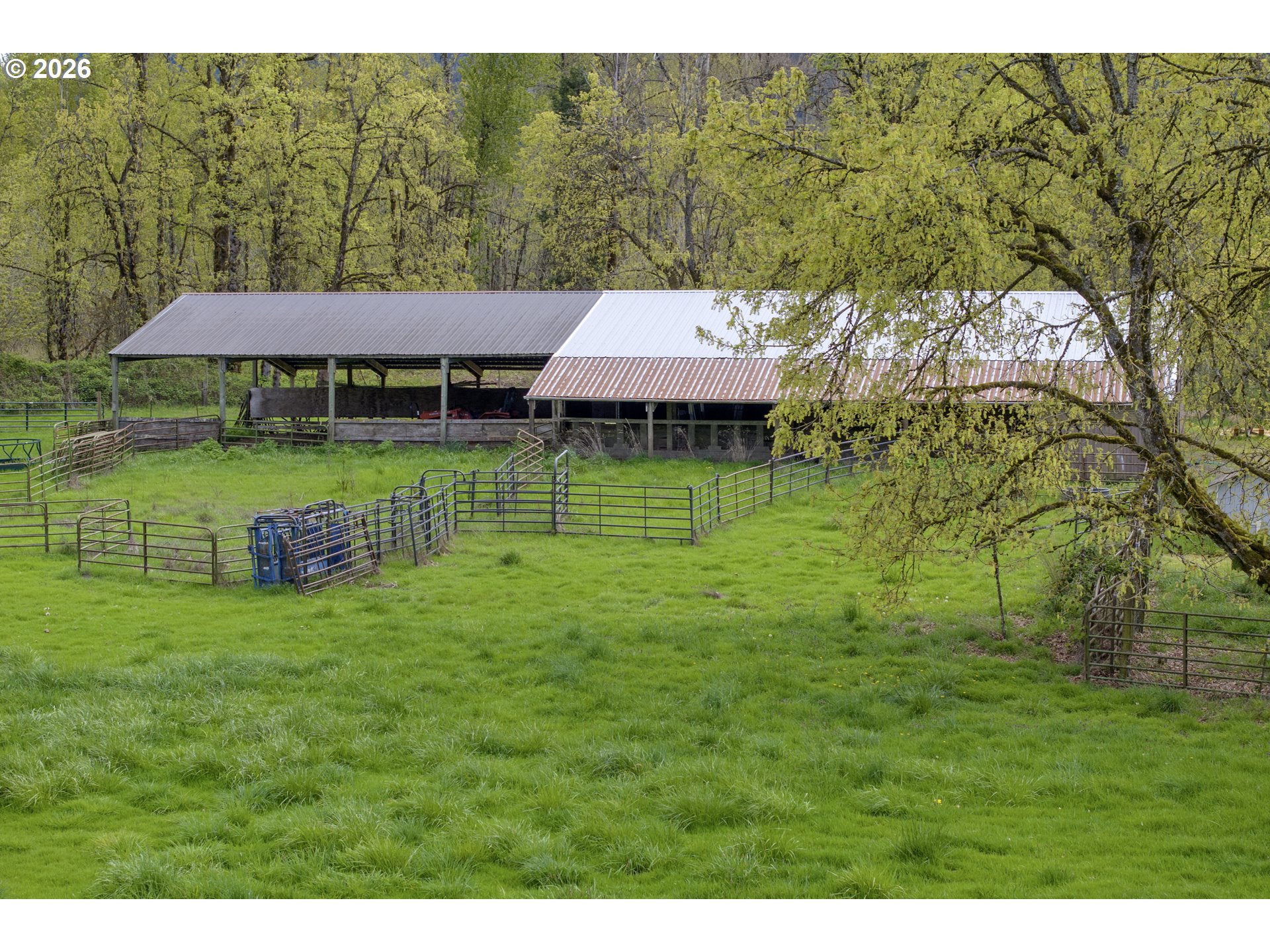 7924 Thurston Road Springfield, OR 97478 - Photo 39 of 45 a view of a house with a backyard