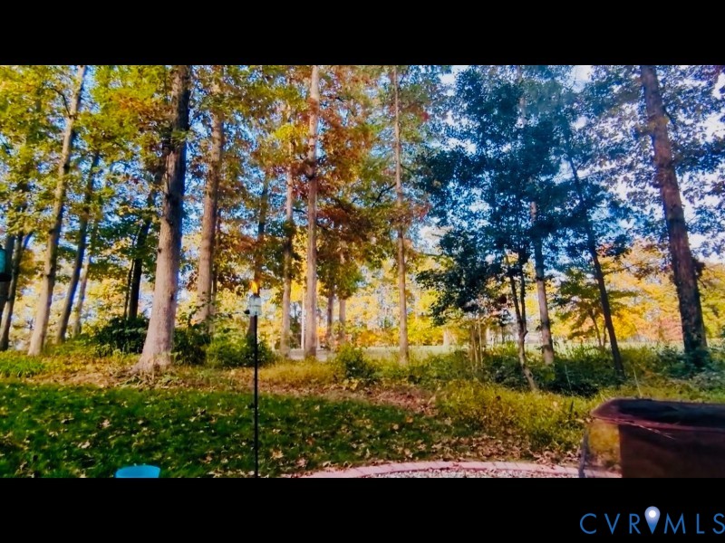 13601 Steeple Chase Road Midlothian, VA 23112 - Photo 27 of 29