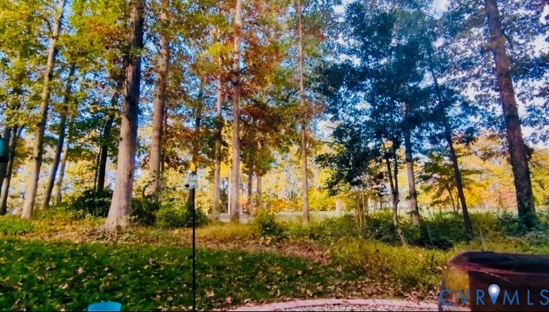 13601 Steeple Chase Road Midlothian, VA 23112 - Photo 7 of 33