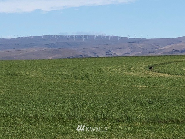 6271 Rd V Northwest Quincy, WA 98848 - Photo 26 of 26 Gallery Image 26