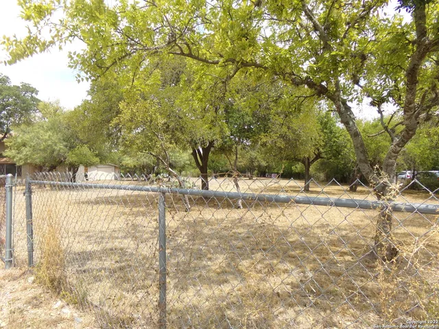 a view of a yard with trees