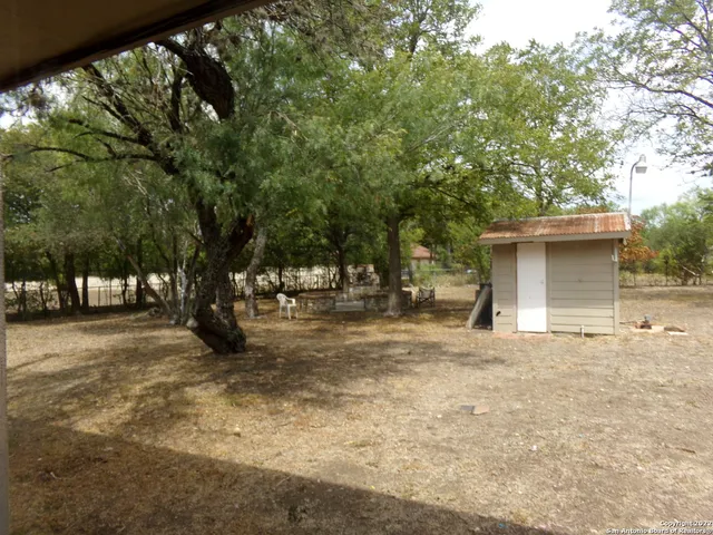 a view of a yard with a tree