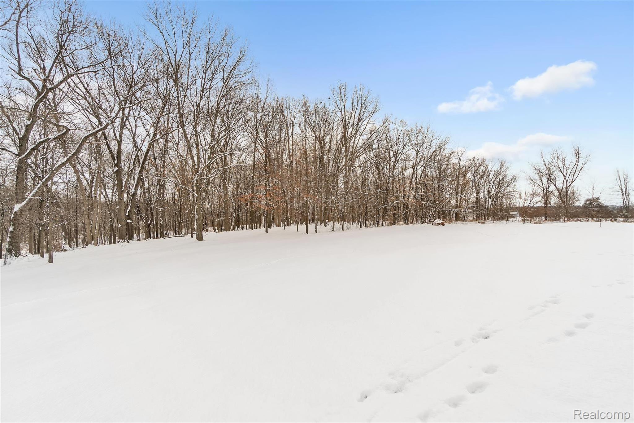 9344 Antcliff Road Howell, MI 48855 - Photo 34 of 43 Wooded back yard.jpg