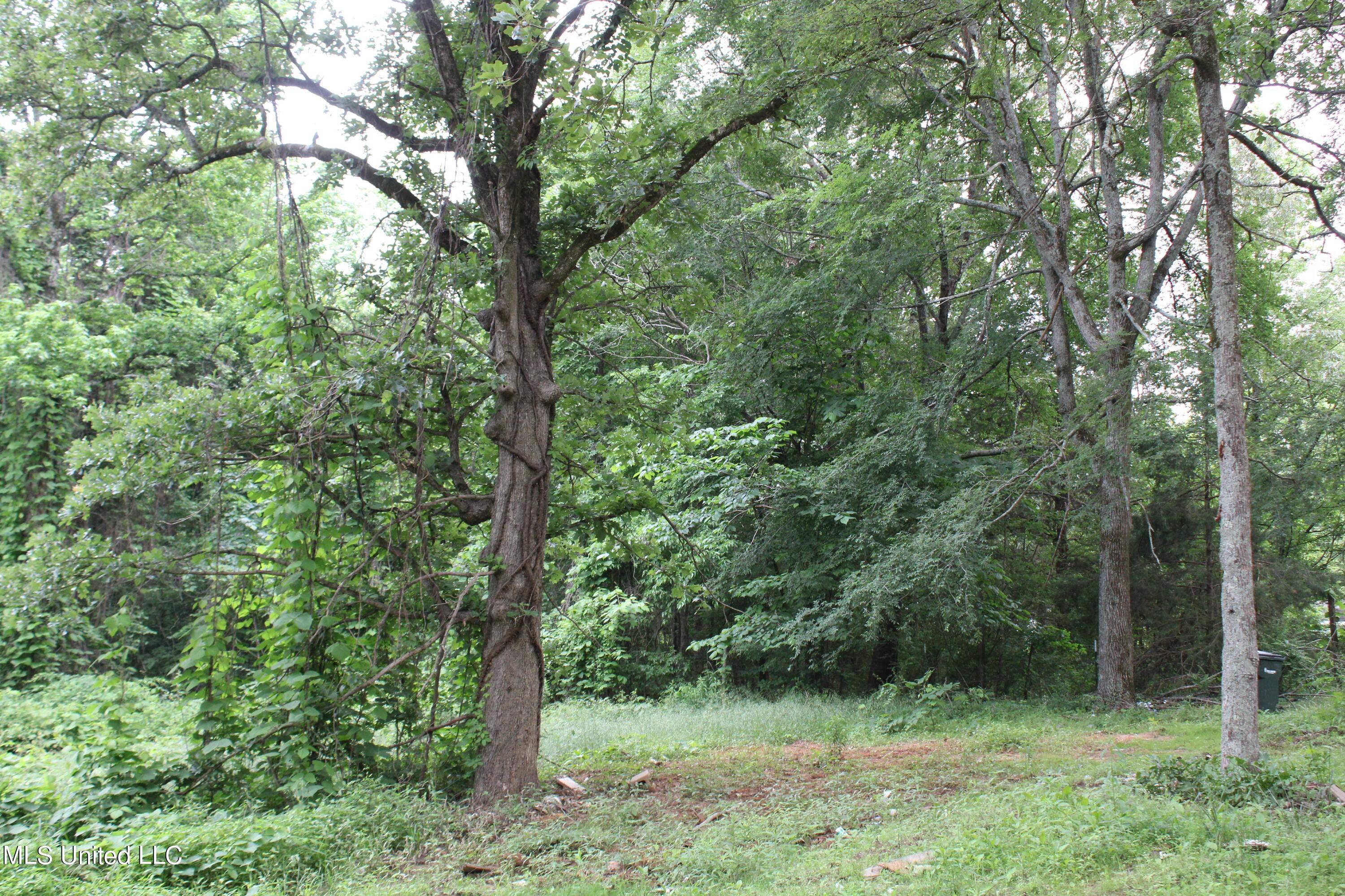 167 Humphrey Road Holly Springs, MS 38635 - Photo 1 of 9 land