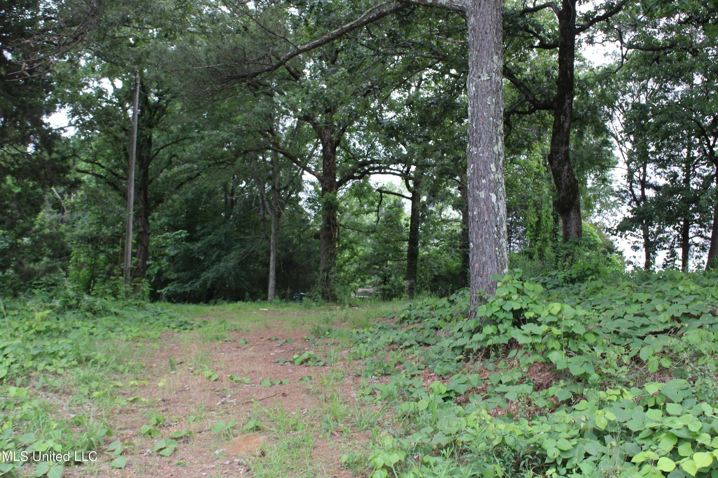 167 Humphrey Road Holly Springs, MS 38635 - Photo 3 of 9 IMG_3888