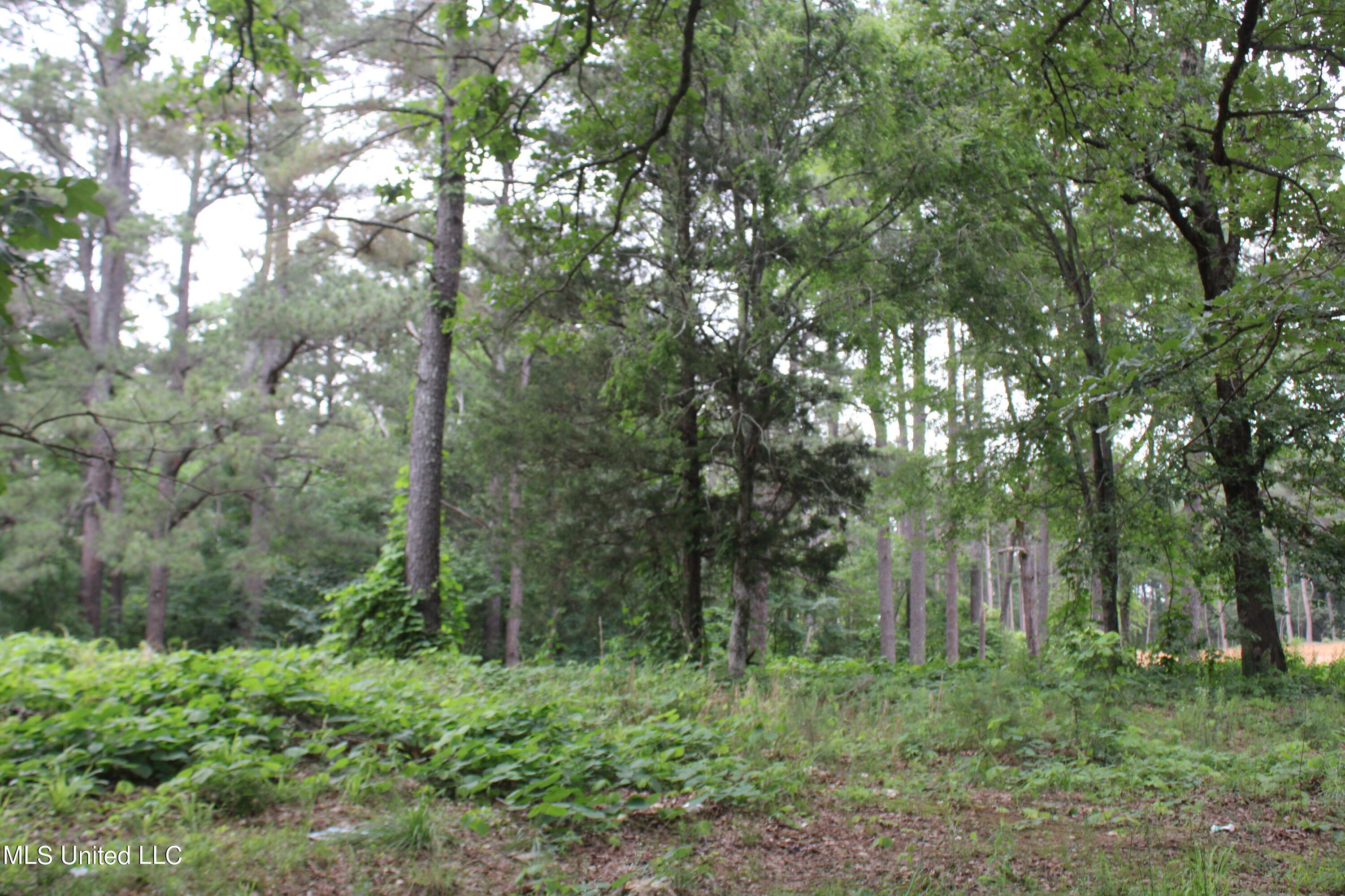 167 Humphrey Road Holly Springs, MS 38635 - Photo 8 of 9 IMG_3894