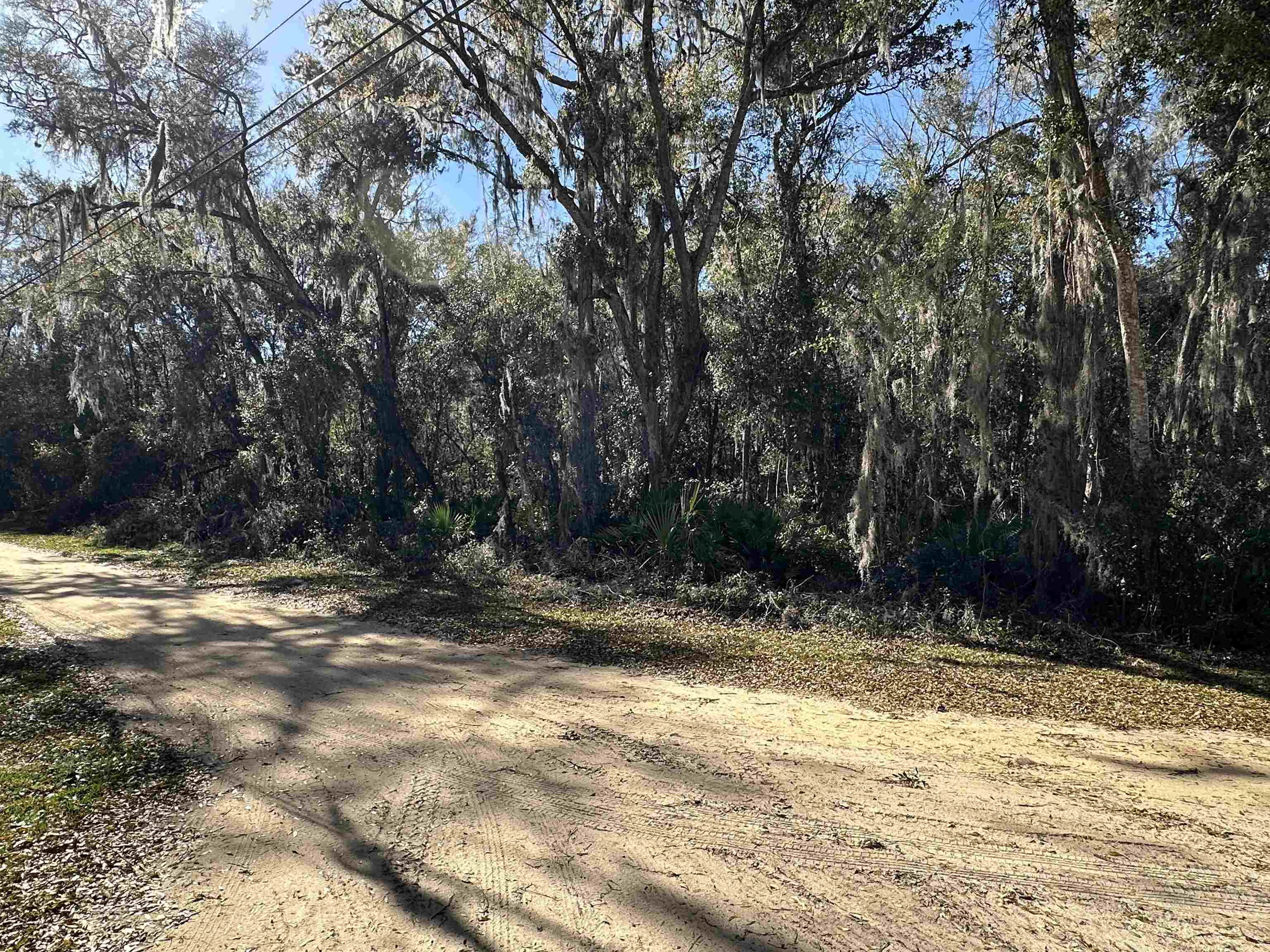 113 Indian Mound Road Satsuma, FL 32189 - Photo 12 of 16 a view of outdoor space with trees