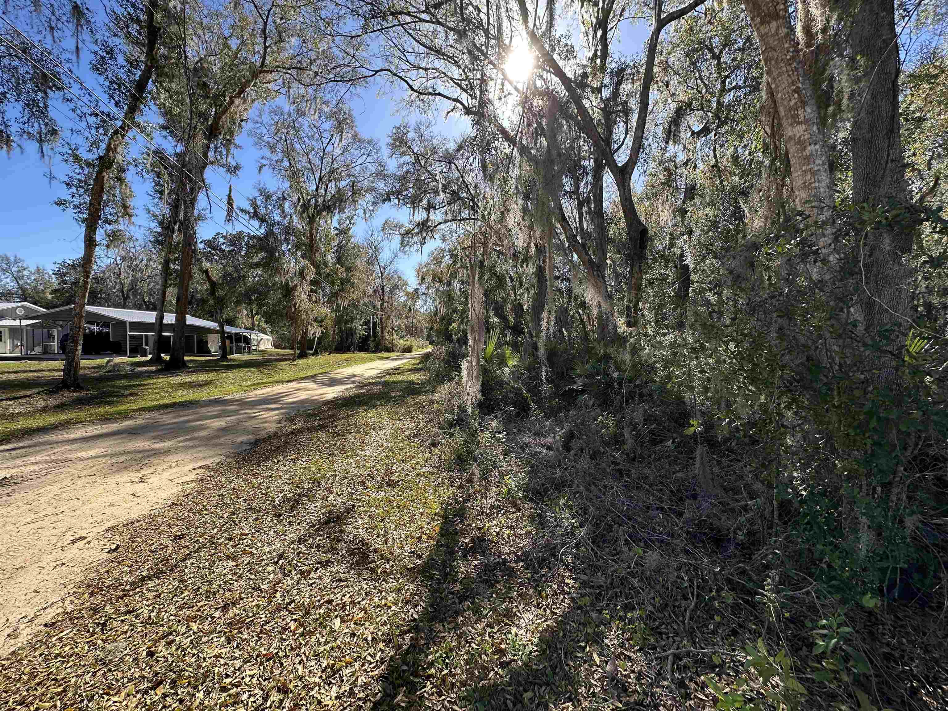 113 Indian Mound Road Satsuma, FL 32189 - Photo 15 of 16 a view of a yard with plants and trees