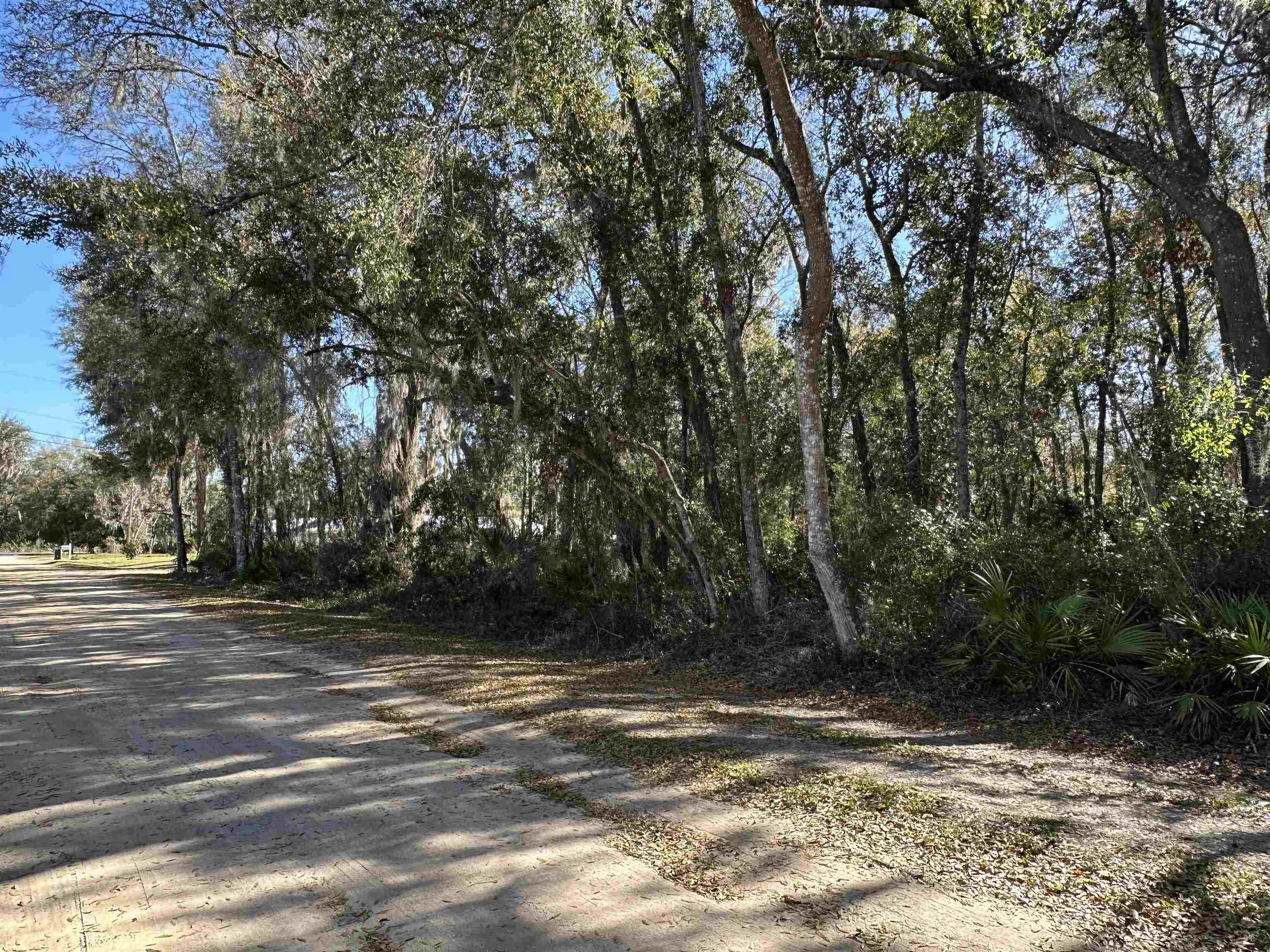 113 Indian Mound Road Satsuma, FL 32189 - Photo 9 of 16 a view of a yard with large trees