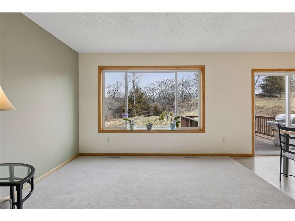 49 Windsor Wood Path Hudson, WI 54016 - Photo 10 of 38