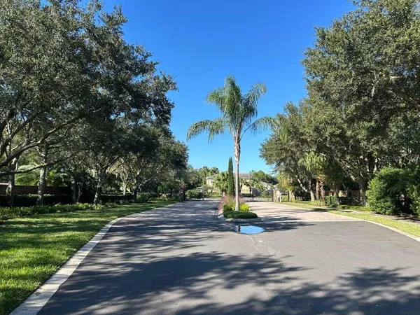 a view of a park with palm trees