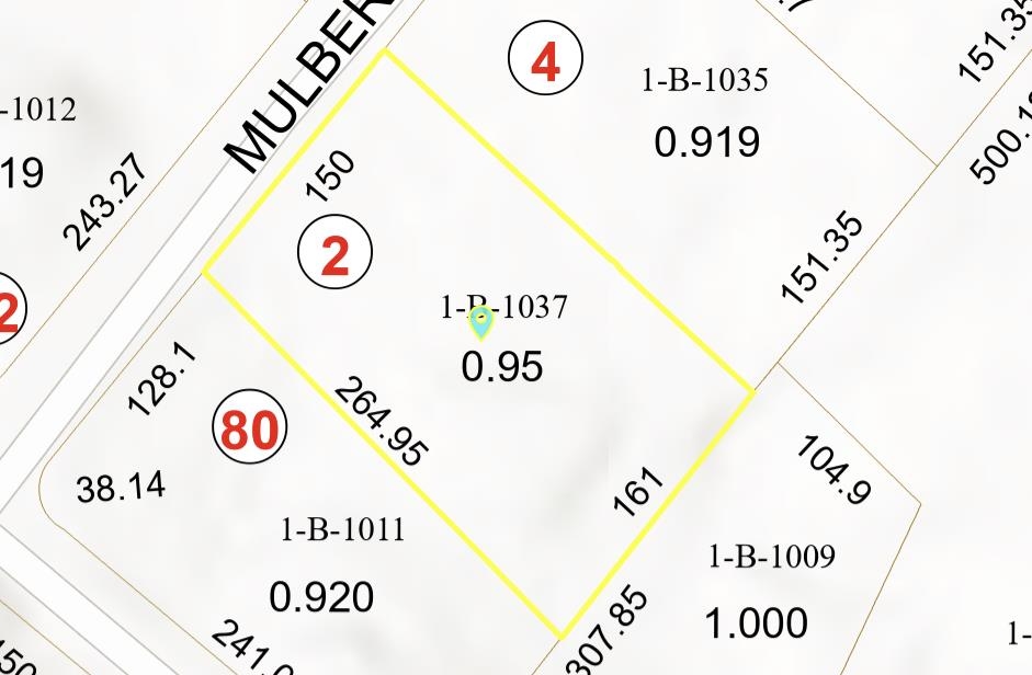 2 Mulberry Street Windham, NH 03087 - Photo 19 of 29