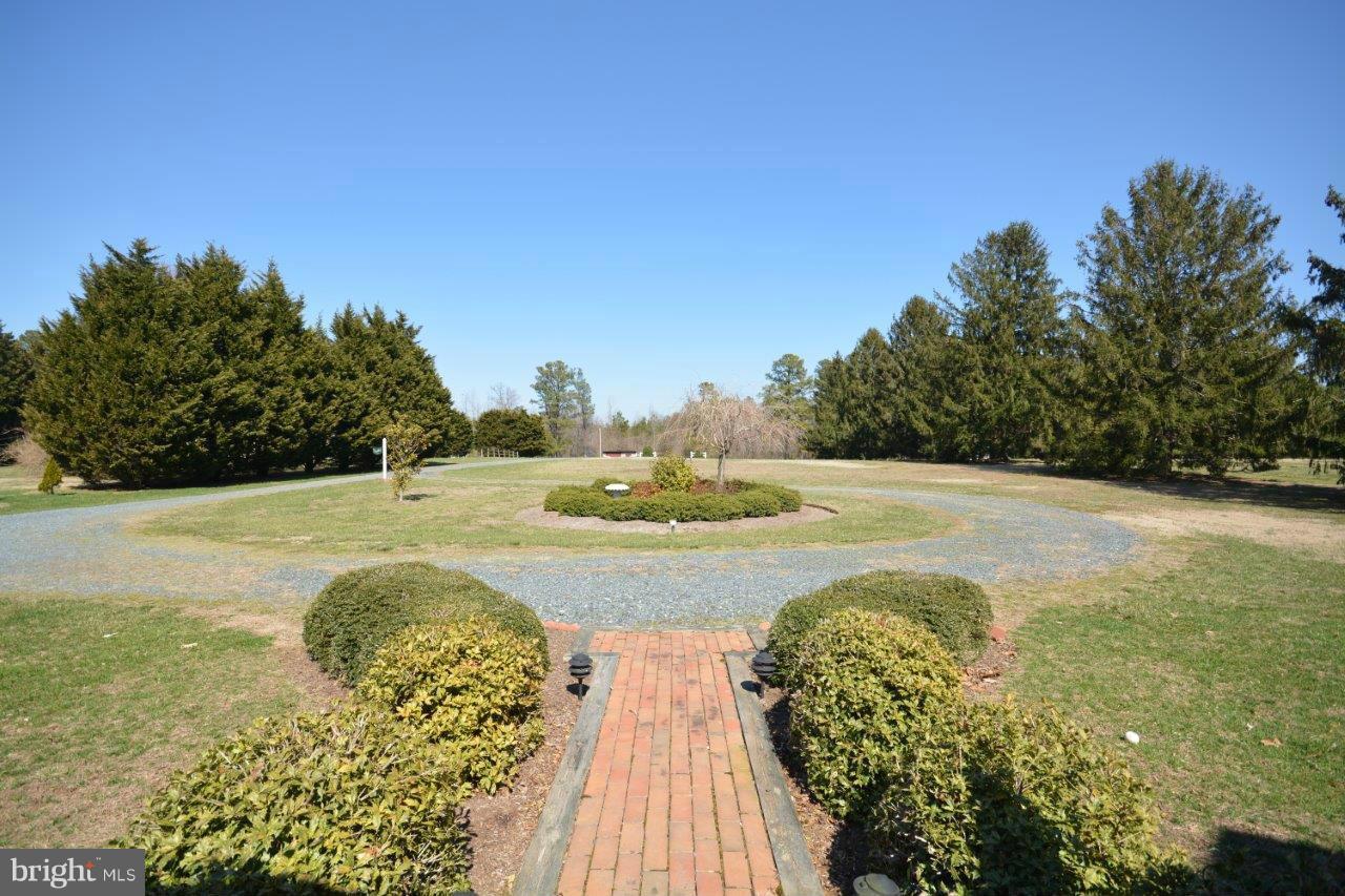 6254 Landing Neck Road Easton, MD 21601 - Photo 11 of 27 Front Yard