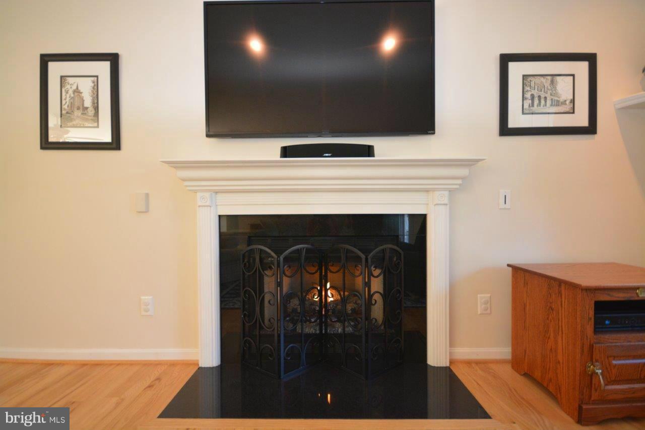 6254 Landing Neck Road Easton, MD 21601 - Photo 15 of 27 Great Room with fireplace