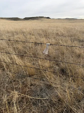 $380,000 | 137-112 Tollefson Trail, Fort Laramie, WY 82212