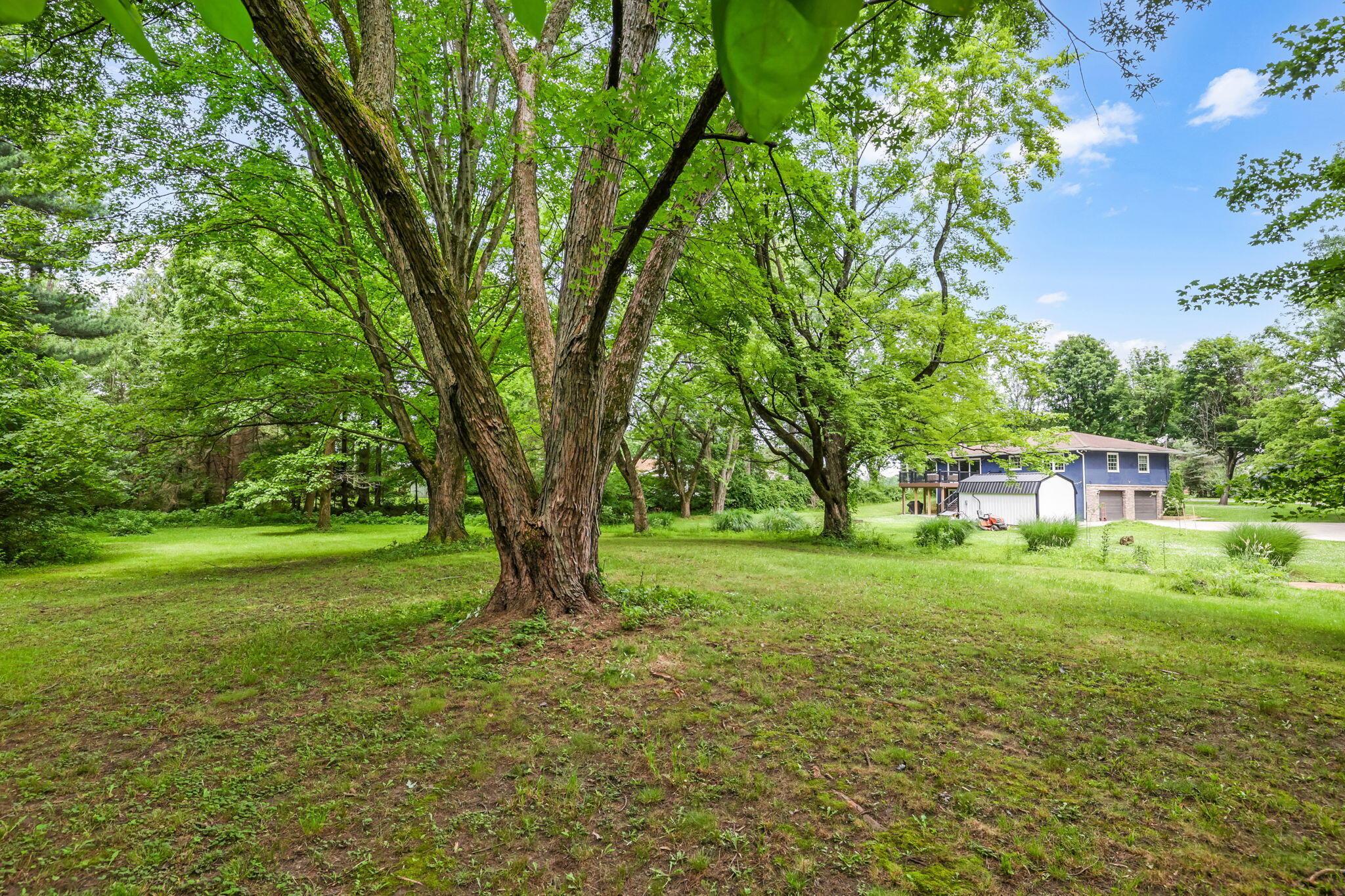 14823 Cleveland Road Southwest Pataskala, OH 43062 - Photo 47 of 57 Expansive green lawn with mature trees, providing natural shade