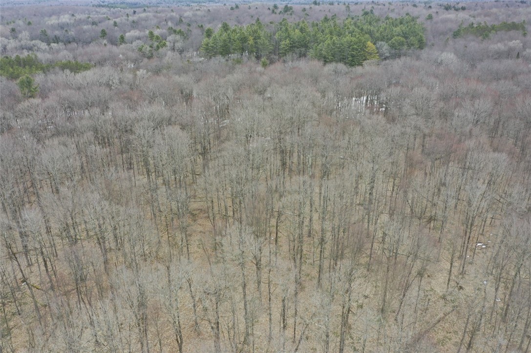 57 Grant Road Cold Brook, NY 13324 - Photo 2 of 6