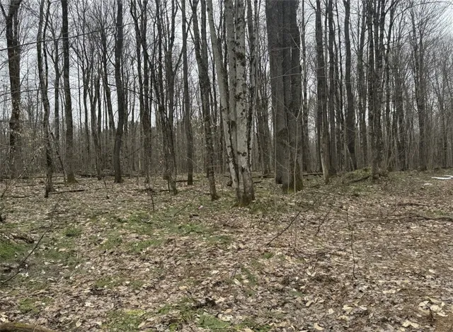 $27,000 | 57 Grant Road, Cold Brook, NY 13324