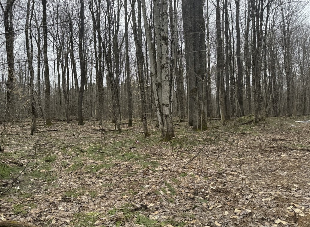 57 Grant Road Cold Brook, NY 13324 - Photo 5 of 6