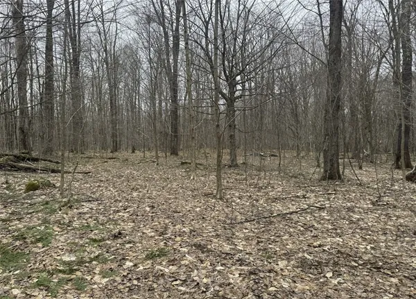 $27,000 | 57 Grant Road, Cold Brook, NY 13324