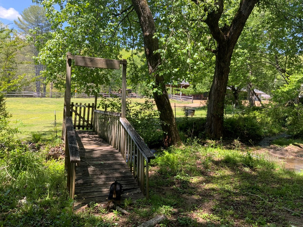 136 Gibson Road Andrews, NC 28901 - Photo 10 of 68