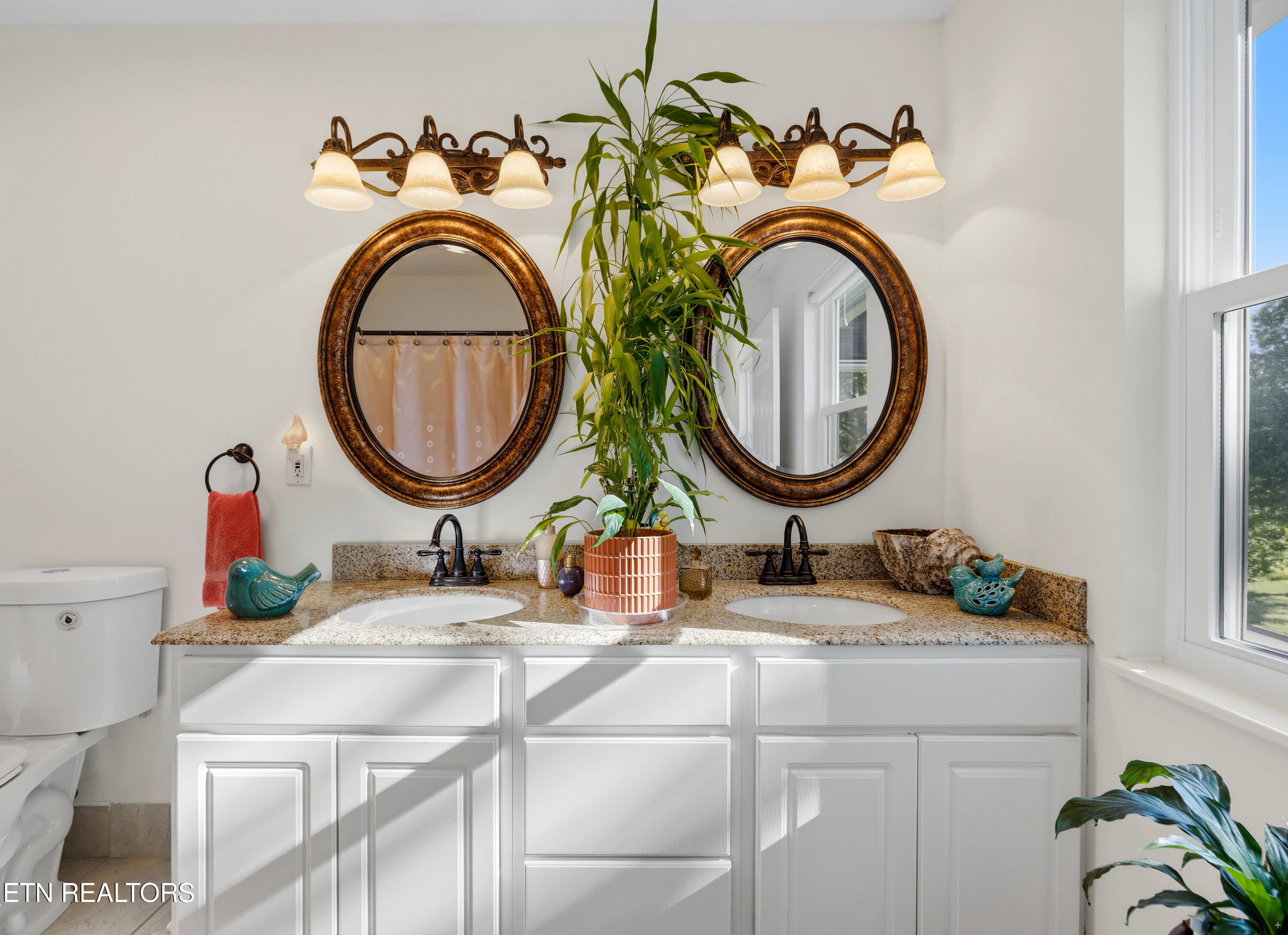 6835 Rambling Brooks Lane Knoxville, TN 37918 - Photo 26 of 35 Upstairs Master Bath